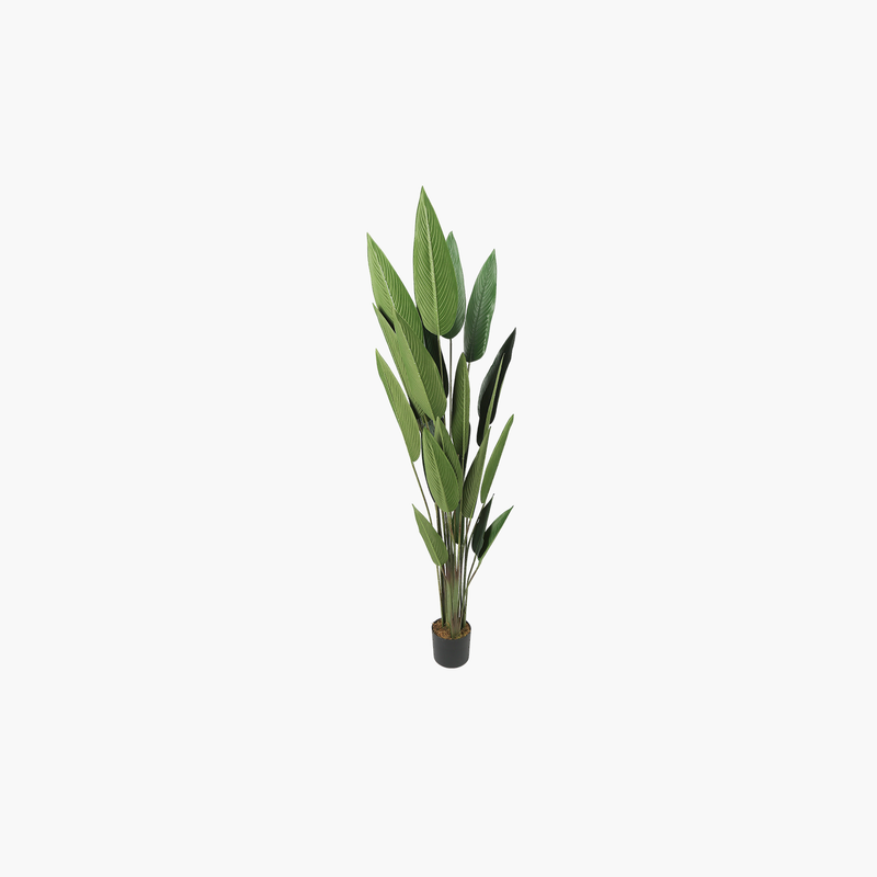 faux potted bird of paradise plant Potted Bird of Paradise Tree 60x60x182cm