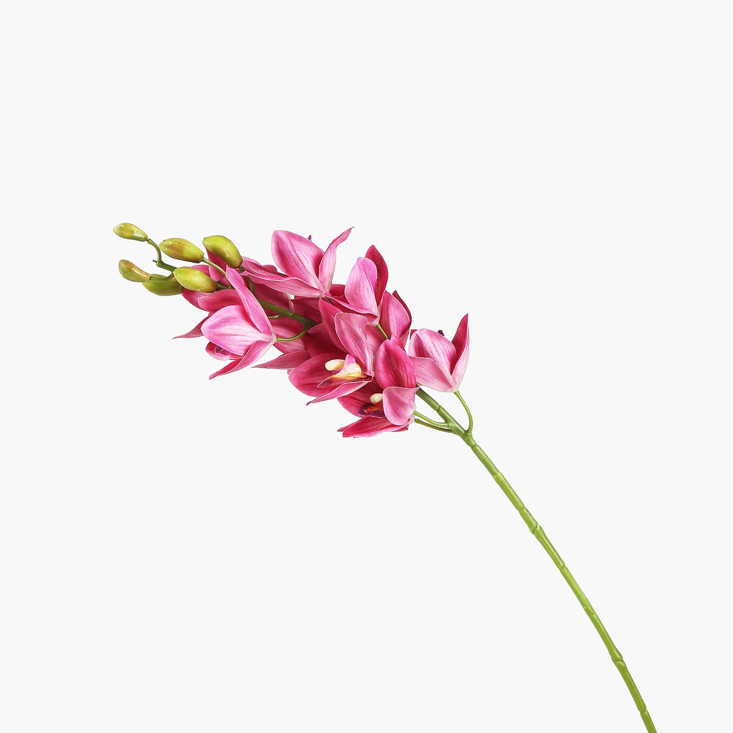New Zeland Magnolia Dal Fuşya 88cm