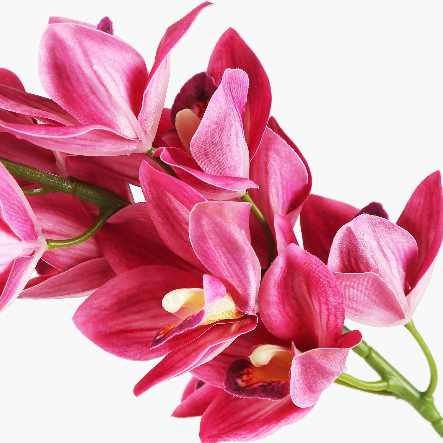 New Zeland Magnolia Dal Fuşya 88cm