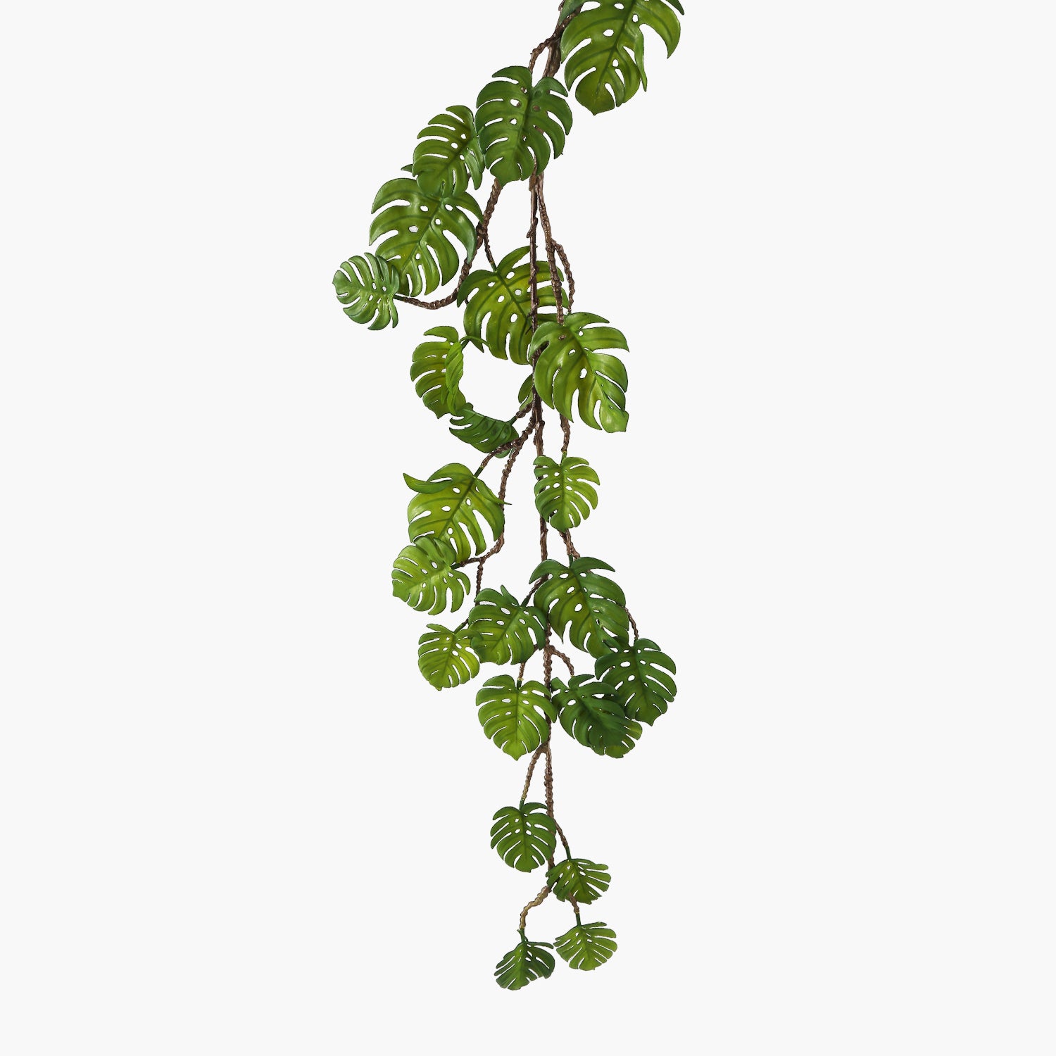 Monstera Asma Dal Yeşil 110cm