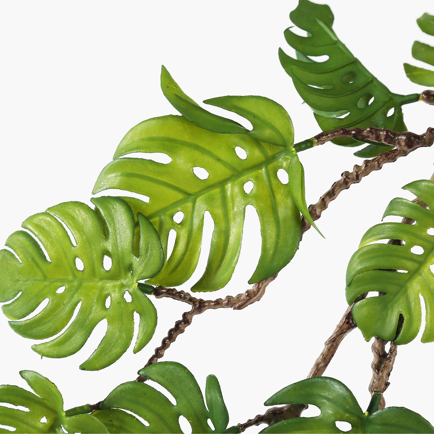 Monstera Asma Dal Yeşil 110cm