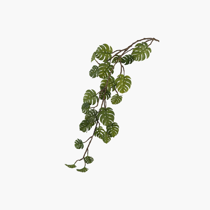 Monstera Vine Branch 110cm