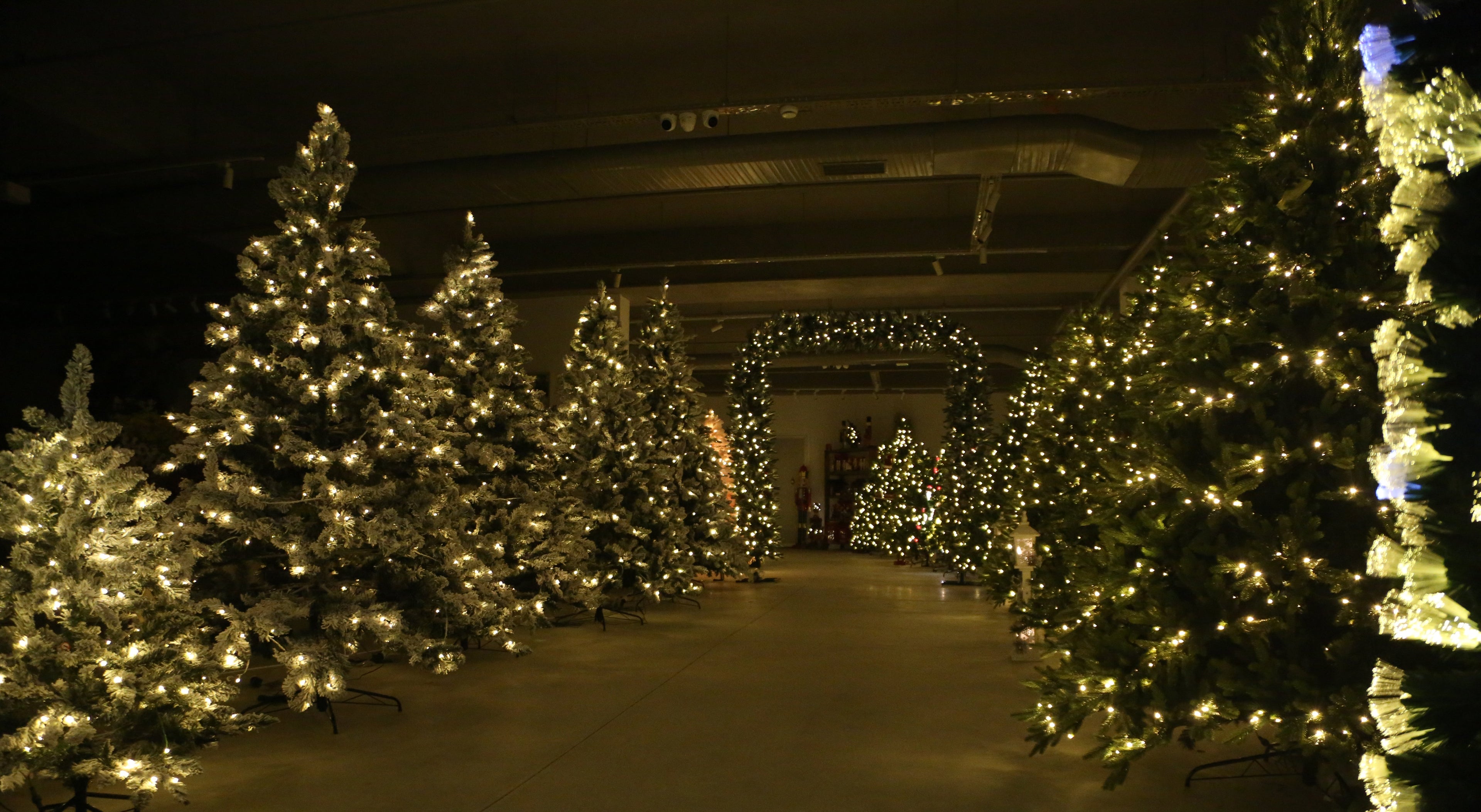 Yılbaşı Çam Ağaçları