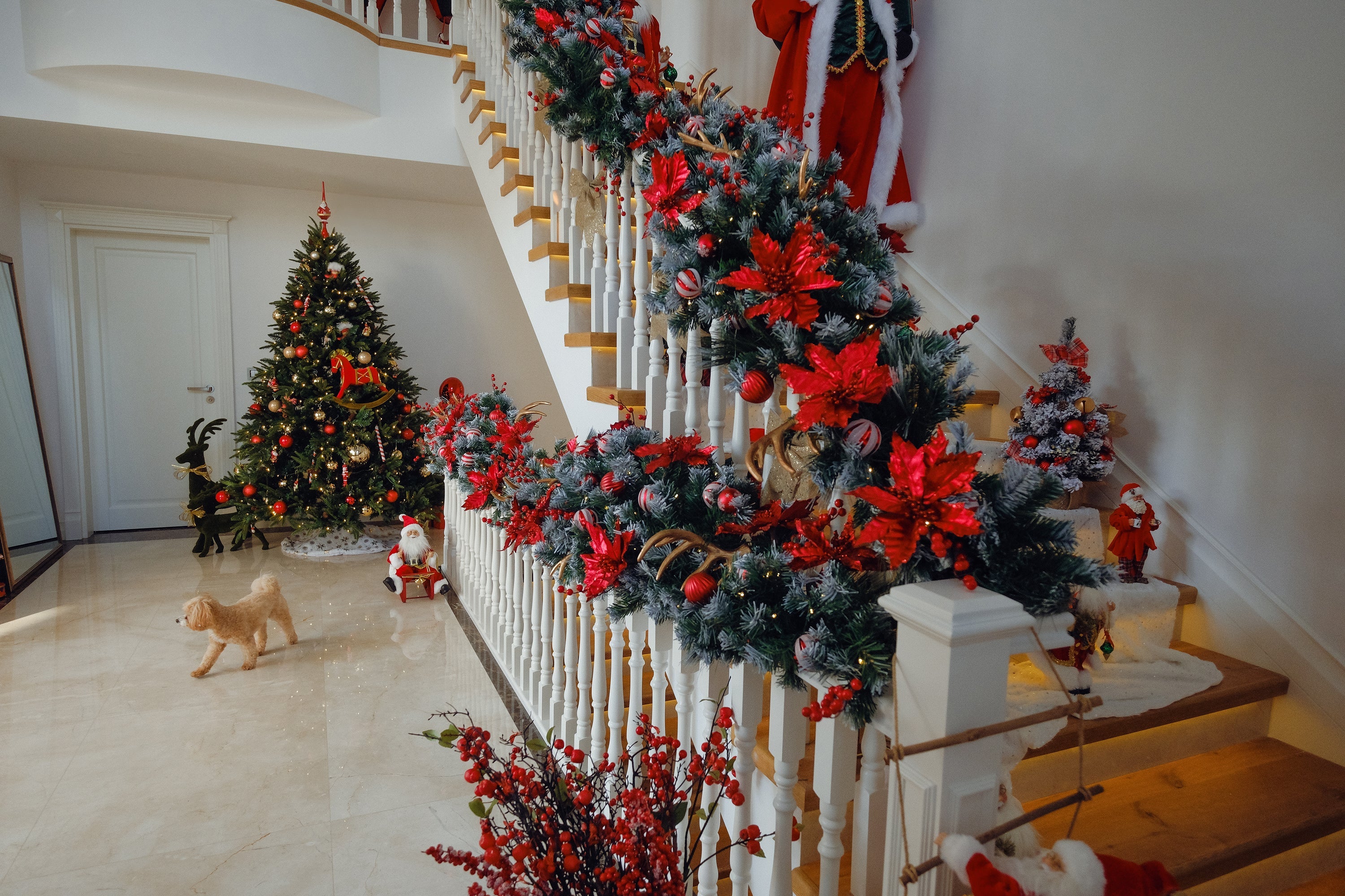 Modern Kırmızı-Altın Koleksiyonu