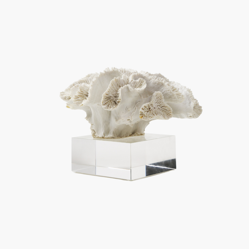 Cam Standlı Mercan Dekor Obje 23X21.5X16cm