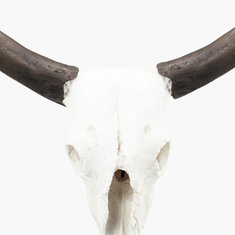 Standlı Skull Dekor Obje 58X25.5X66cm