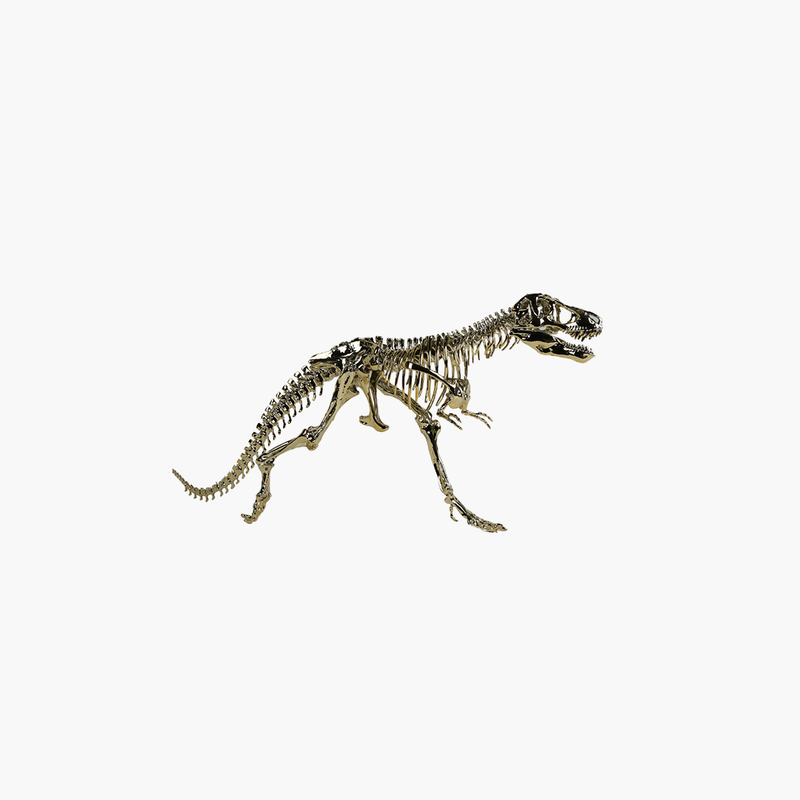 Alligator Dekor 65X14X30cm