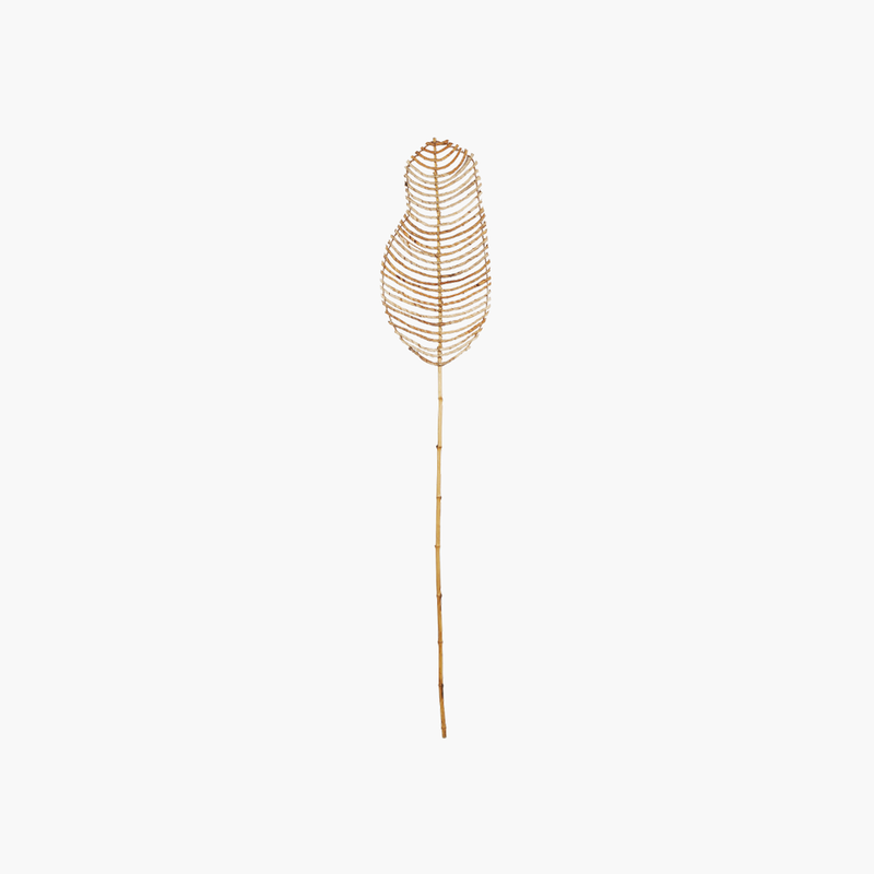 Rattan Çubuklu Yaprak Dekor