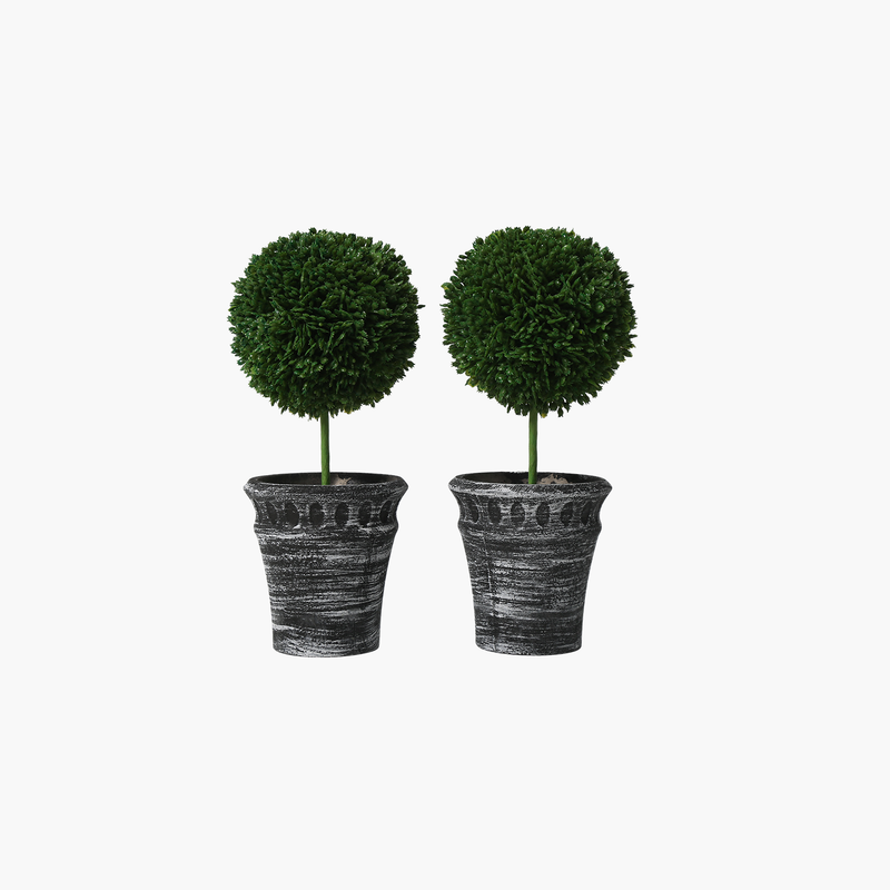 2'li Mini Bitki Dekor Saksı Set 20X10X24cm