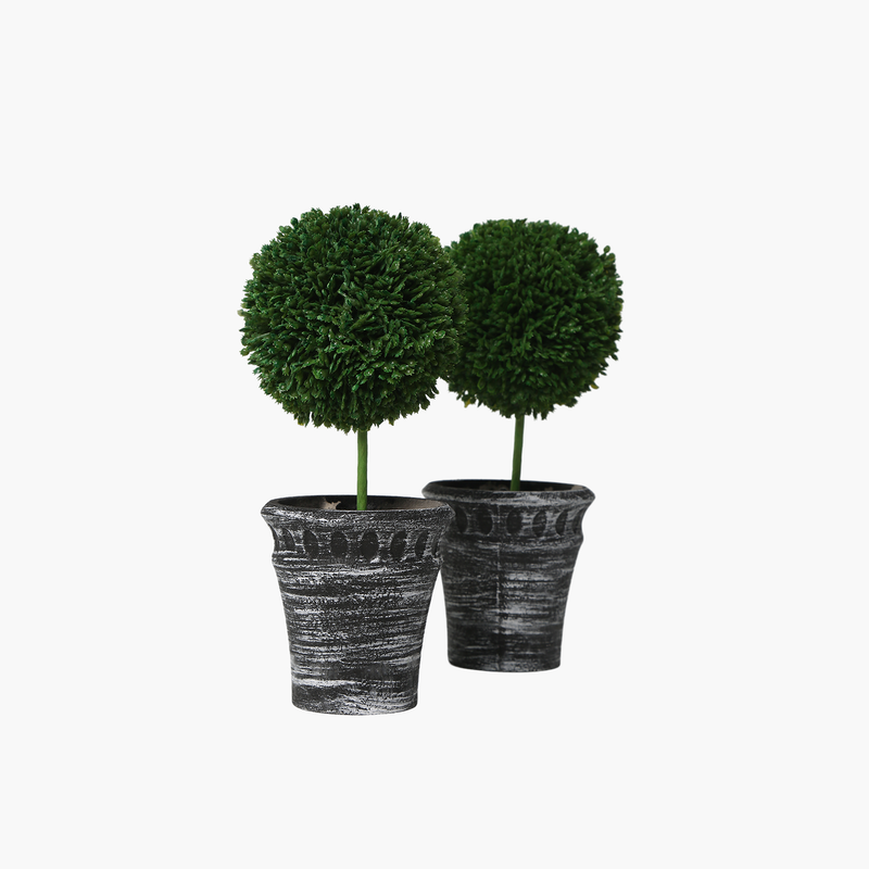 2'li Mini Bitki Dekor Saksı Set 20X10X24cm