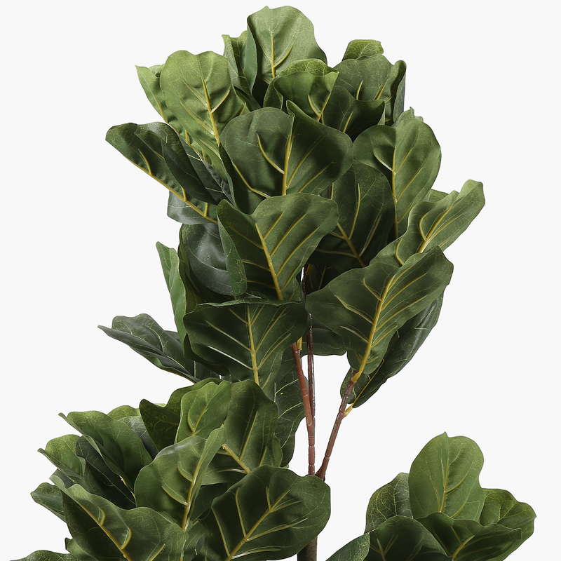 Saksılı 3 Kollu Fiddle Leaf Ağaç 60X60X150cm