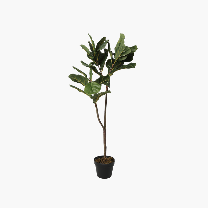 Saksılı Fiddle Leaf Ağaç 30X30X110cm