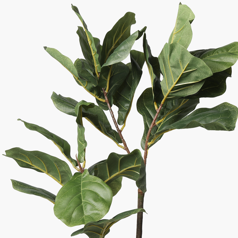 Saksılı Fiddle Leaf Ağaç 30X30X110cm