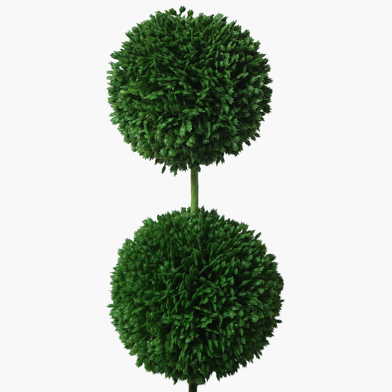 Saksılı Boxwood 2 Katlı Yuvarlak 39cm