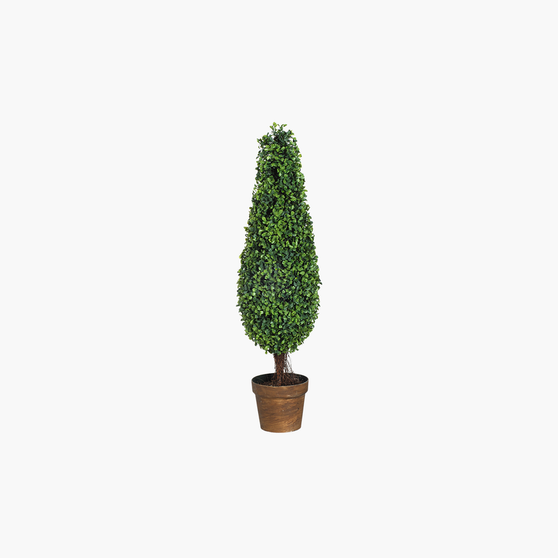 Saksılı Boxwood Ağaç Uzun 19X19X89cm