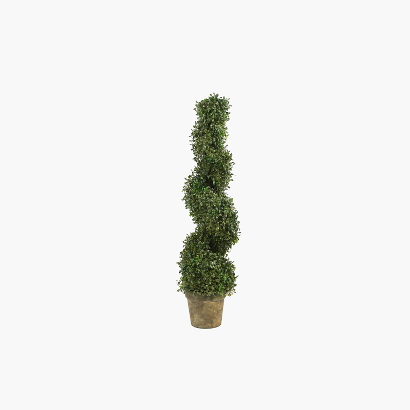 Saksılı Boxwood Ağaç Spiral 19X19X89cm