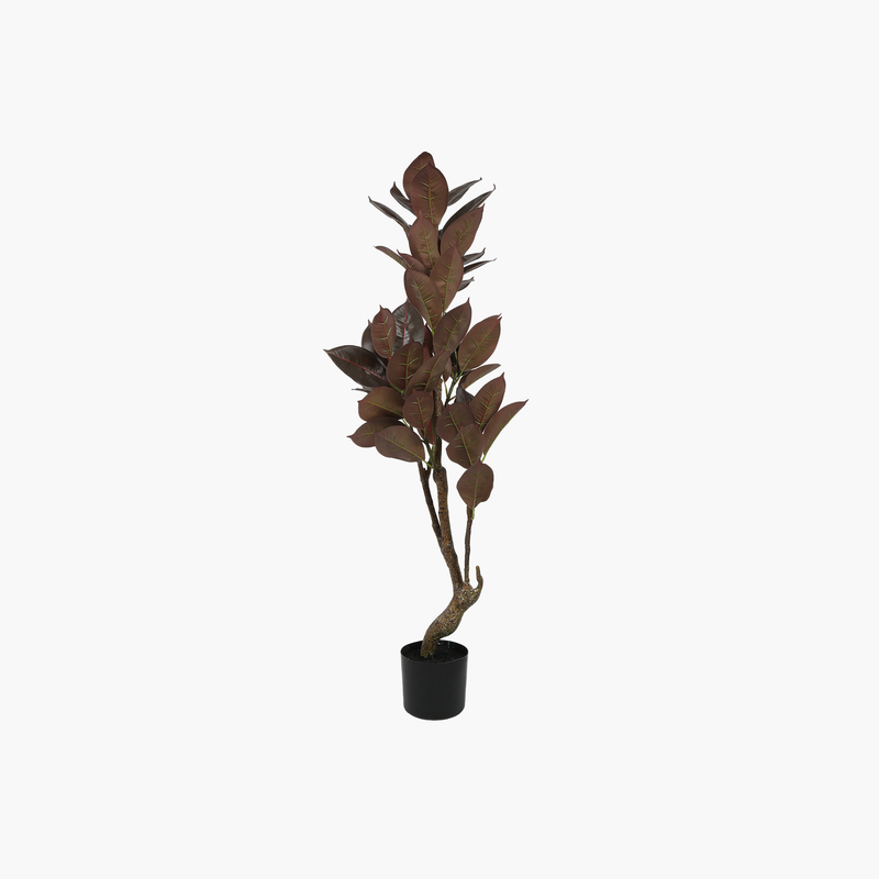 Saksılı Meşe Ağacı 120cm