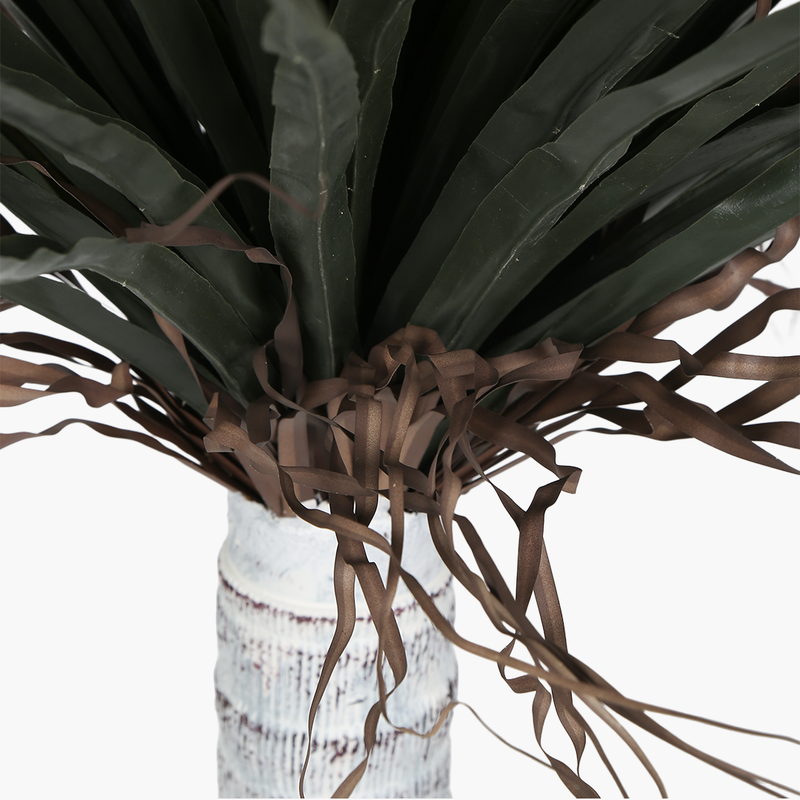 Saksılı Silk Orchid Ağacı 250cm