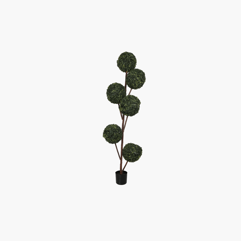 Saksılı 6 Başlı Milano Ağacı 180cm