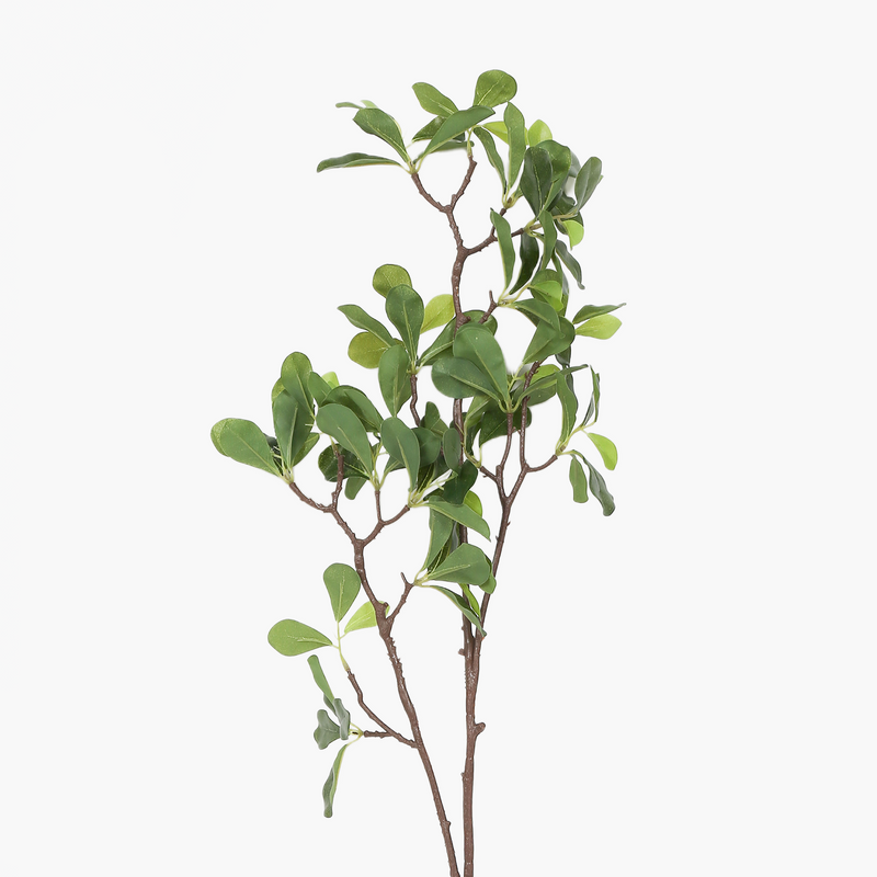Yabani Kahve Yaprağı Dal 100cm
