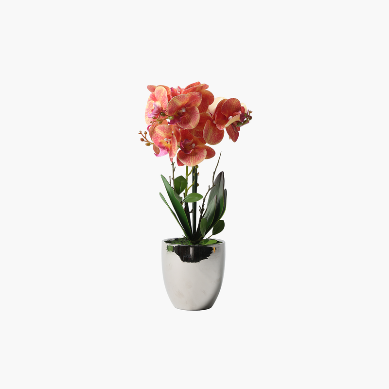 Saksılı Phalaenopsis Orkide Bitki Turuncu 26X13X60cm