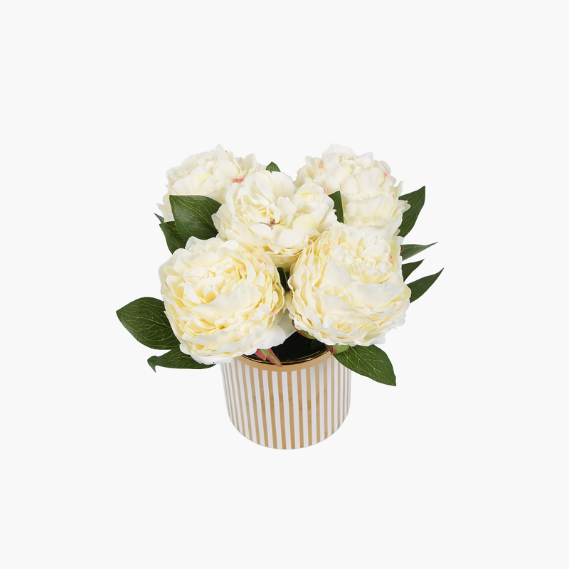 Saksılı Şakayık Beyaz 26cm