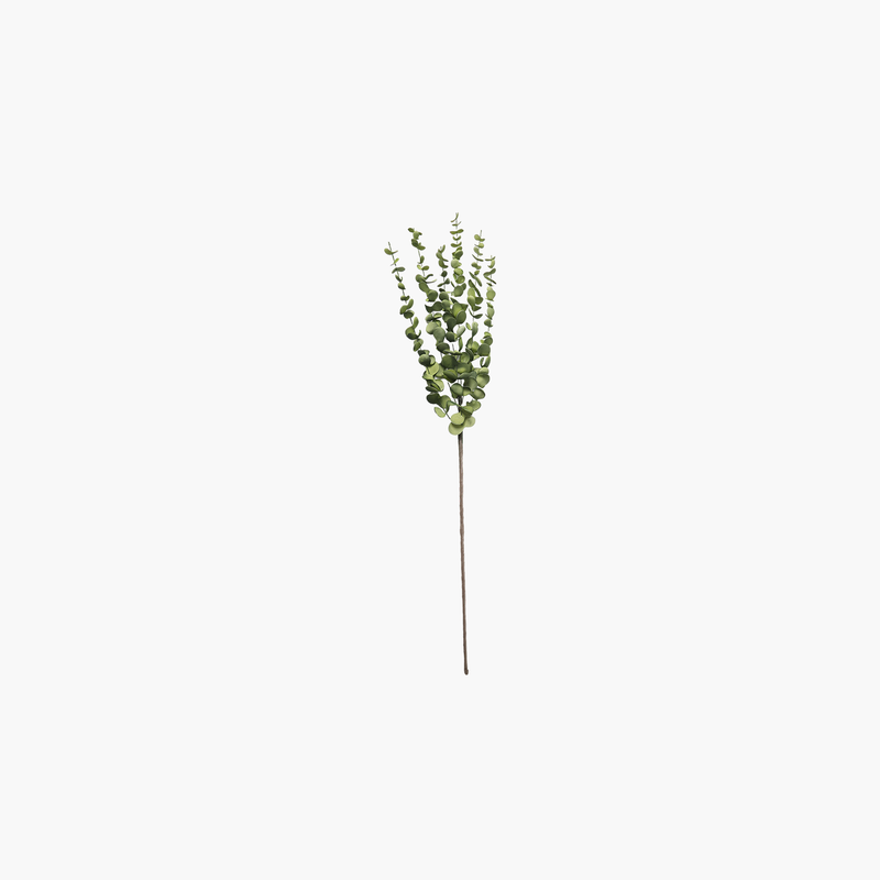 Okaliptüs Dal 105cm