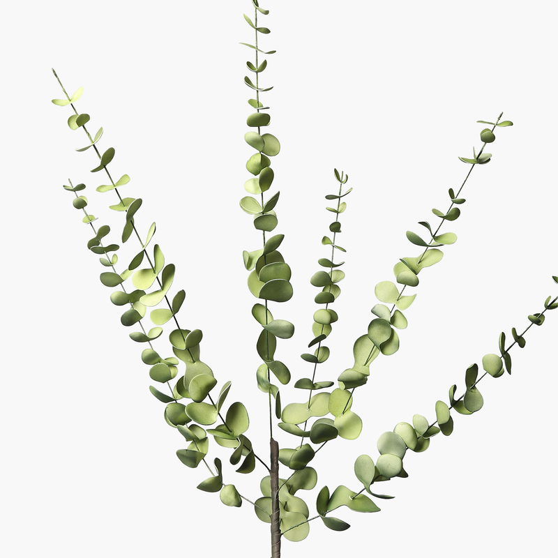 Okaliptüs Dal 105cm
