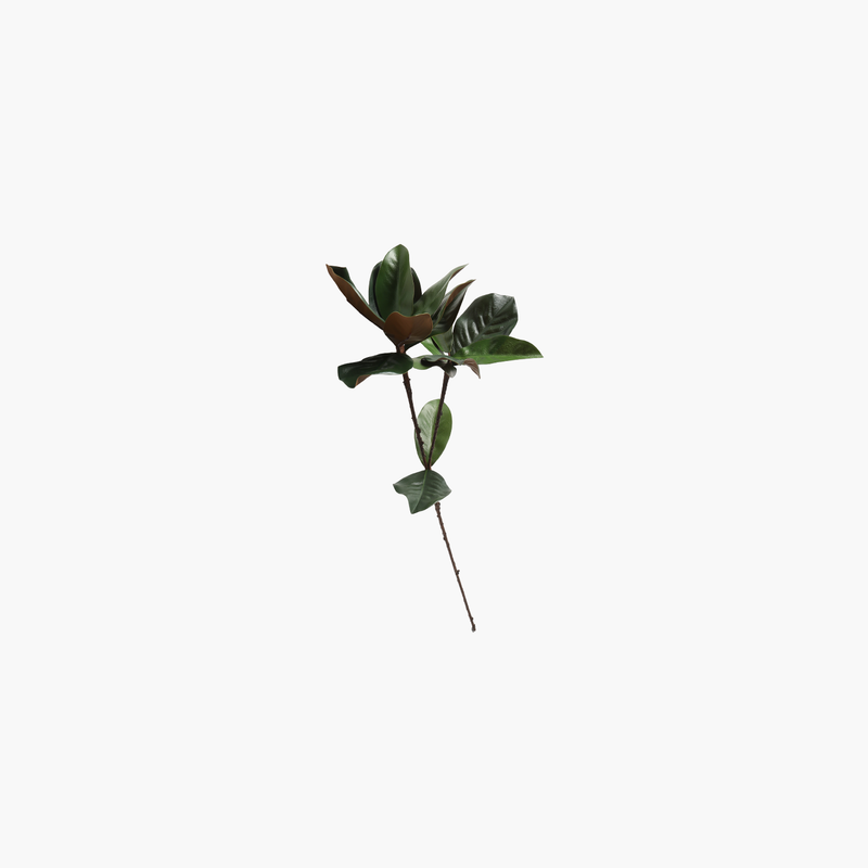 Manolya Dal Yeşil 78cm