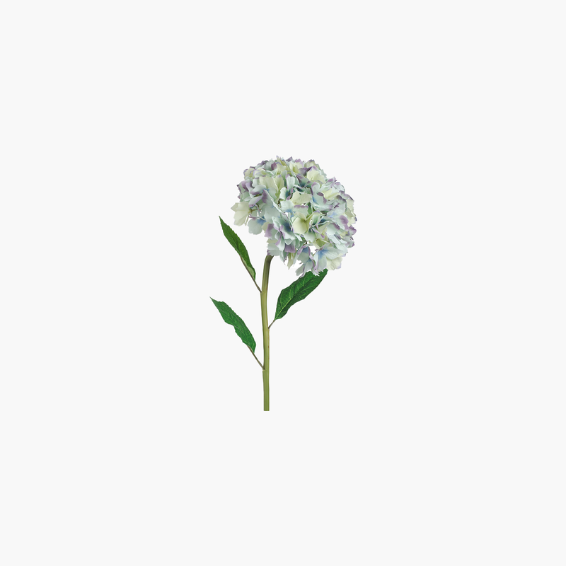 Ortanca Dal Mavi 86cm