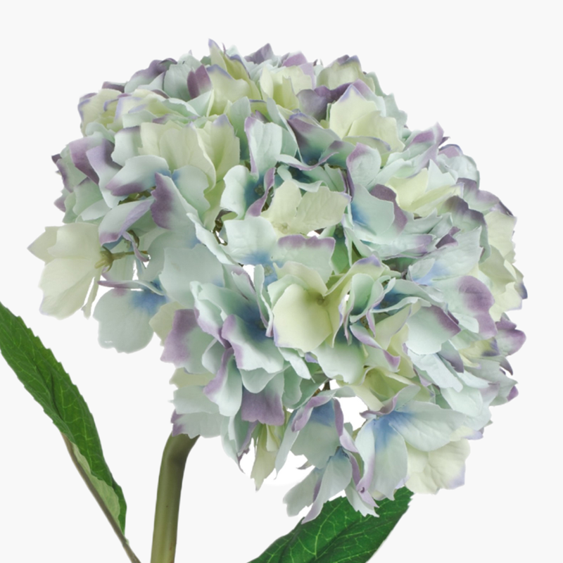 Ortanca Dal Mavi 86cm