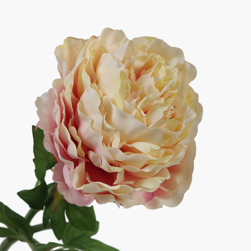 Şakayık Dal Pembe 44cm