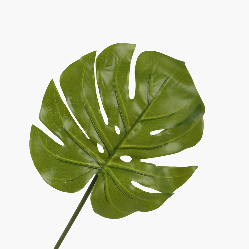 Büyük Monstera Yaprak Dal 71cm