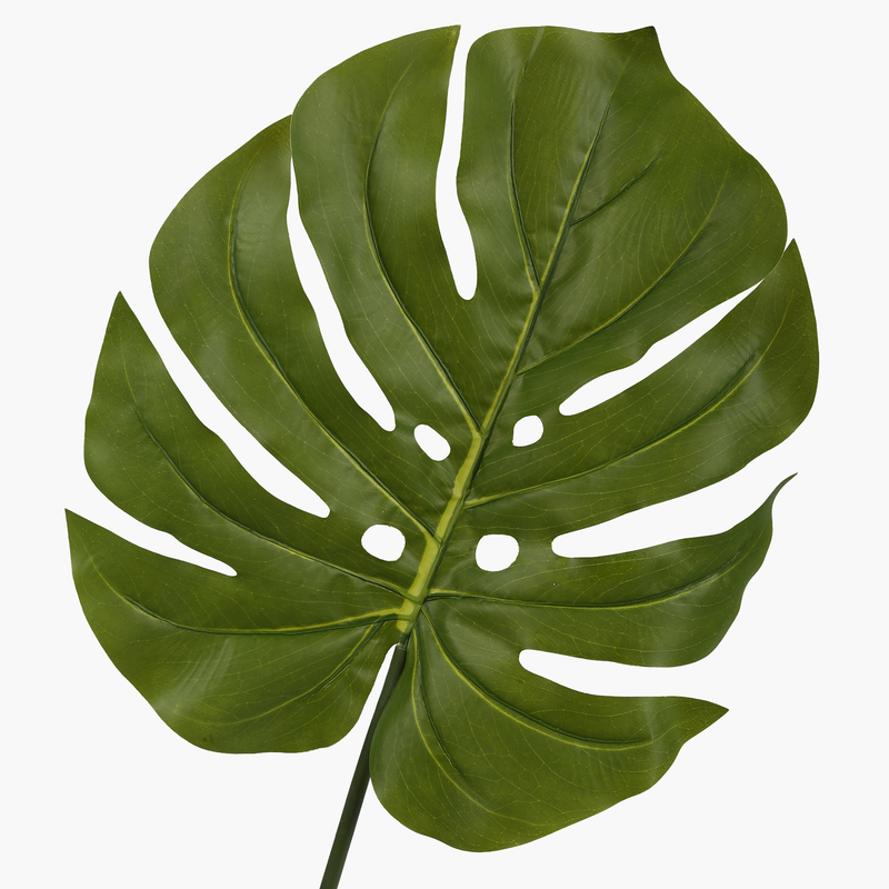 Monstera Yaprak Dal Yeşil 98cm