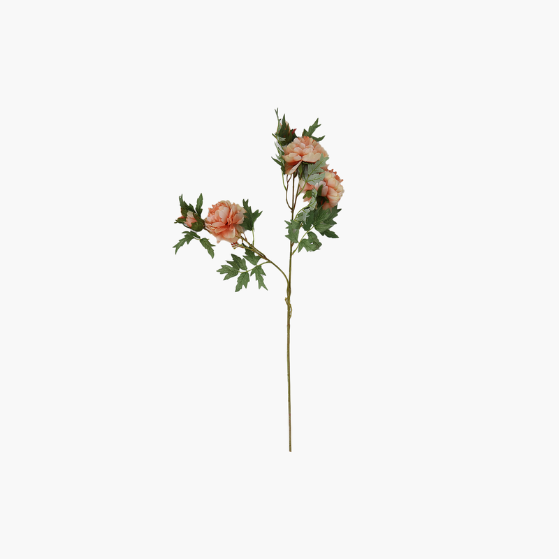Şakayık Çok Başlı 94cm