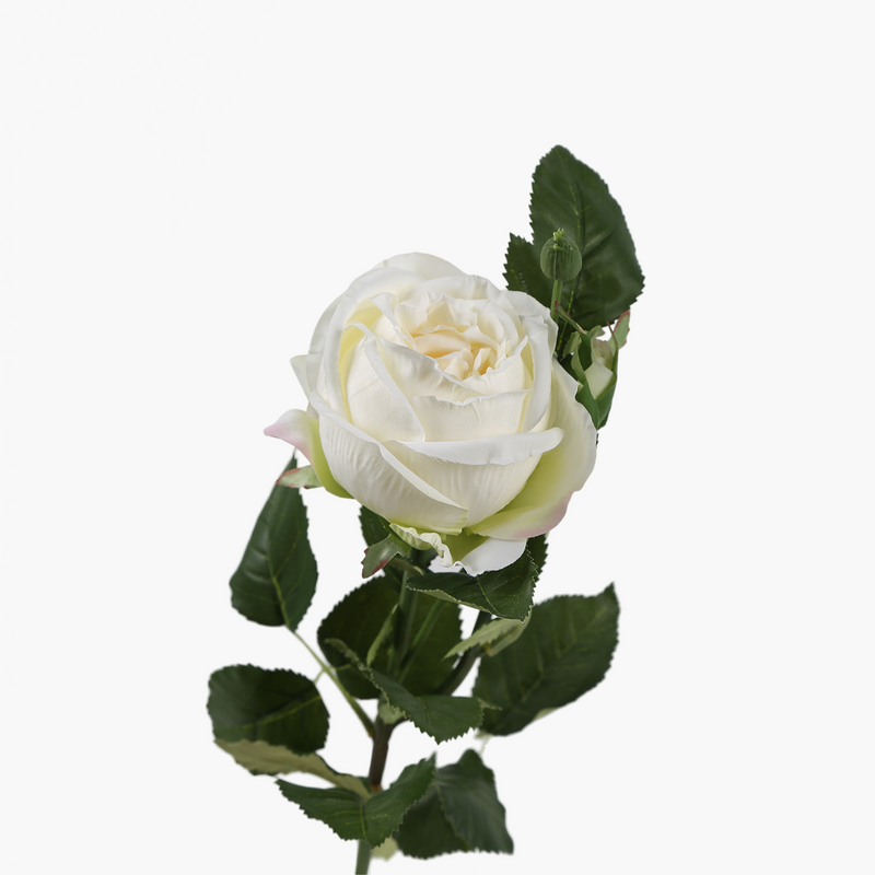 Rose Branch Cream 67cm