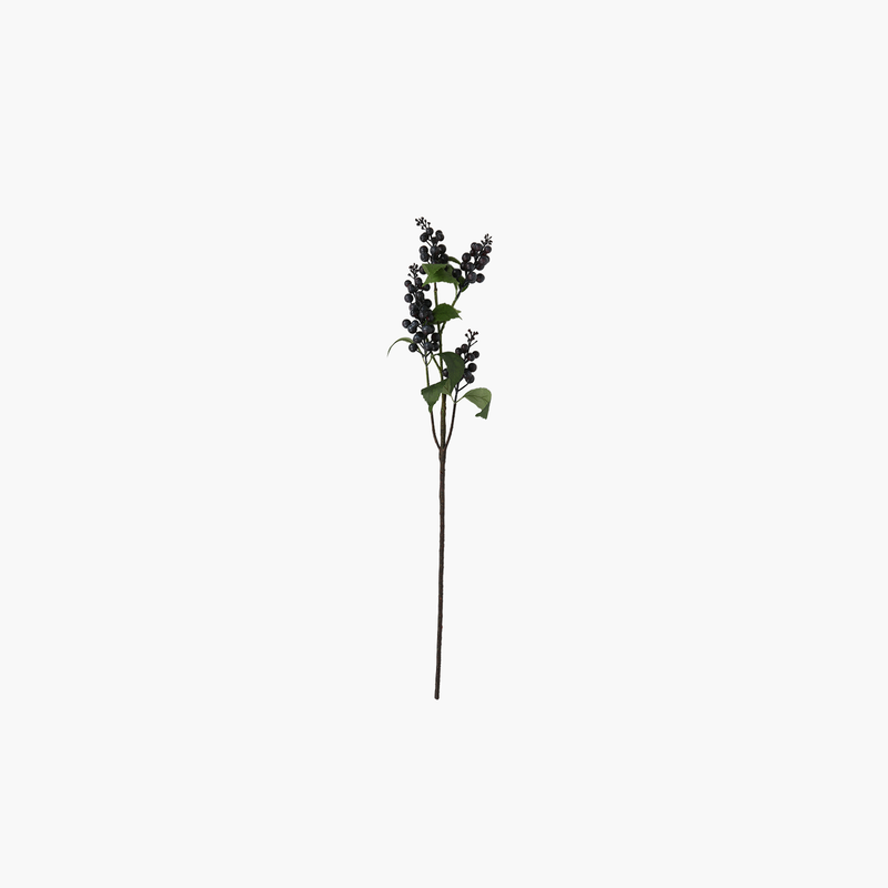 Yabanmersini Dal Mor 74cm