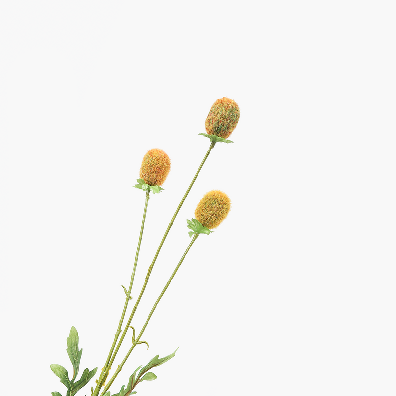 3 Başlı Para Meyvesi Dal 63cm