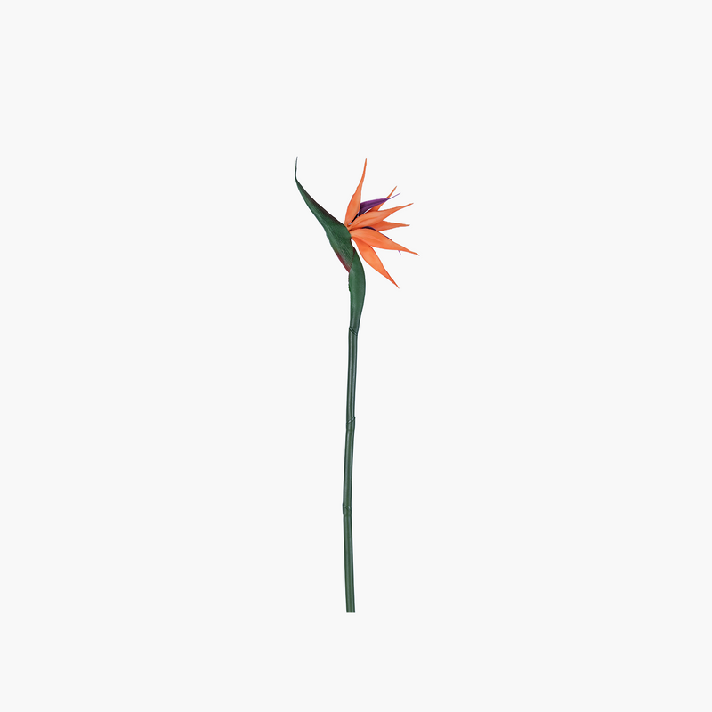 Starliçe Dal Yeşil 82cm