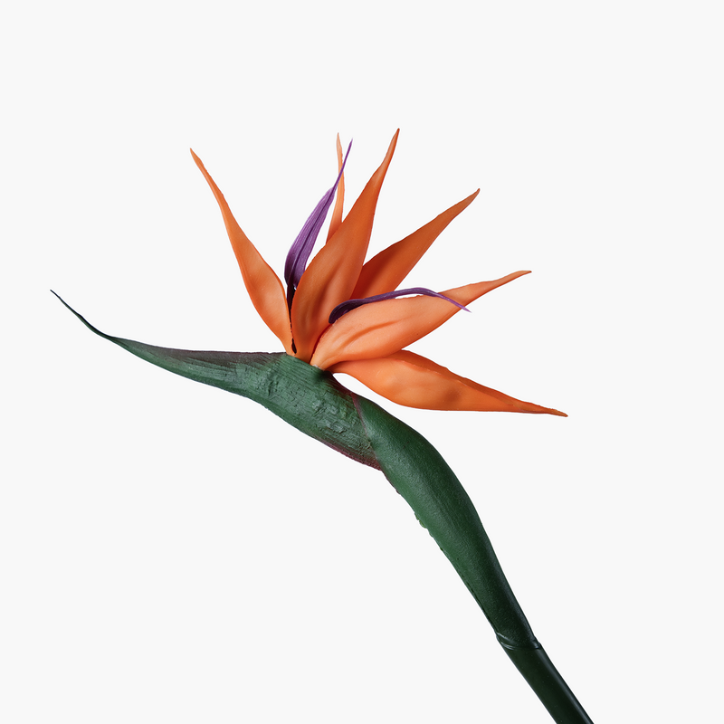 Starliçe Dal Yeşil 82cm