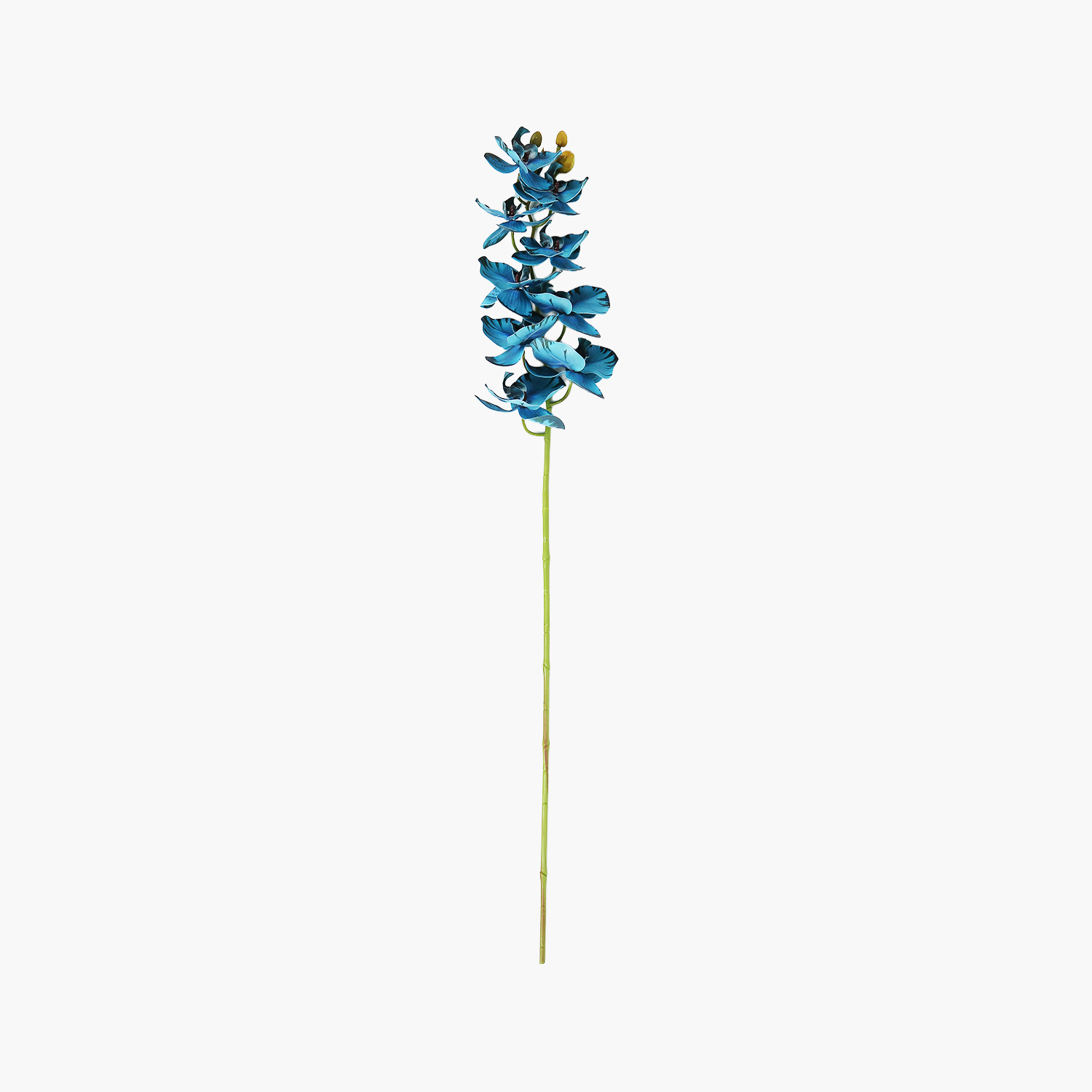 Orkide Dal Mavi 90cm