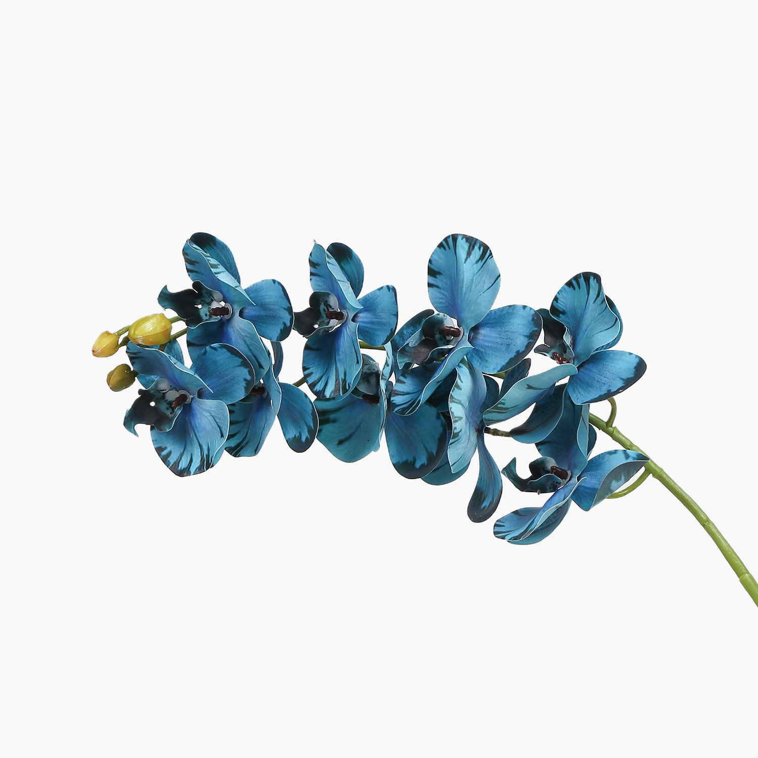 Orkide Dal Mavi 90cm