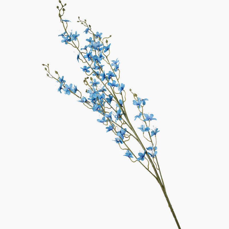 Telosma Dal Mavi 115cm