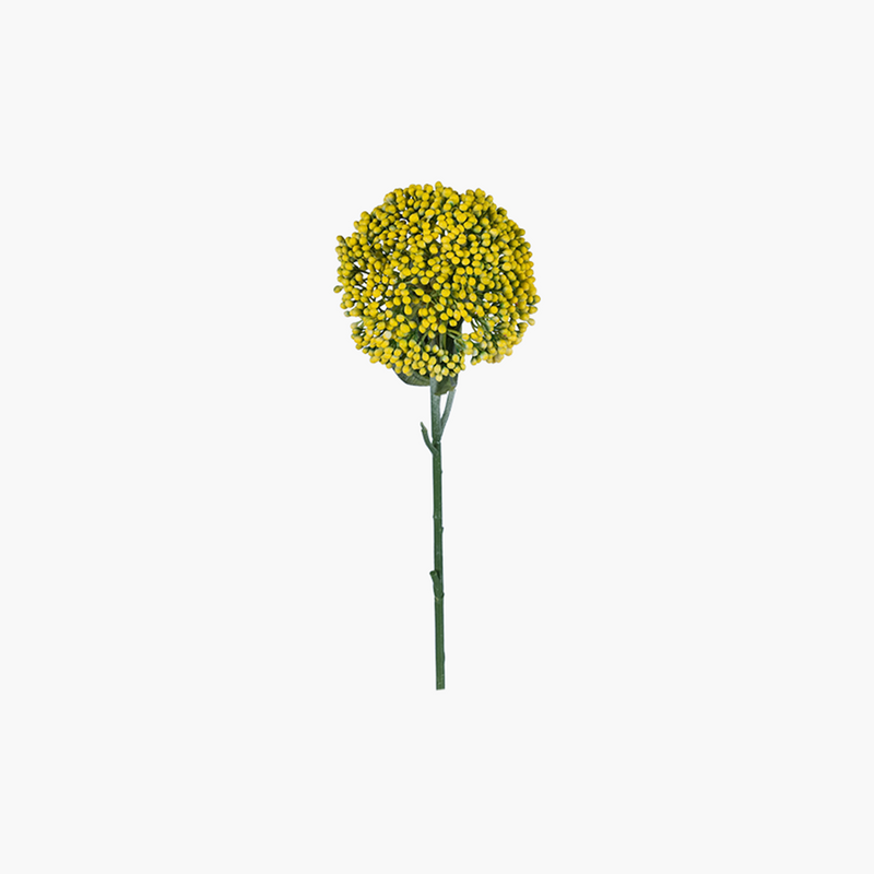 Hedara Dal Sarı 44cm