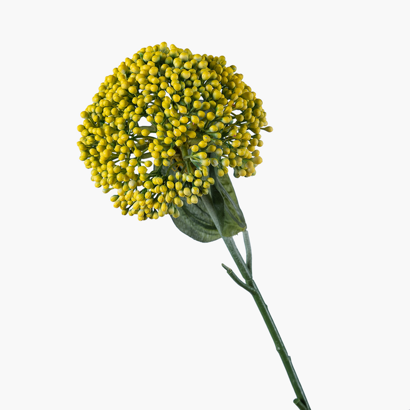 Hedara Dal Sarı 44cm