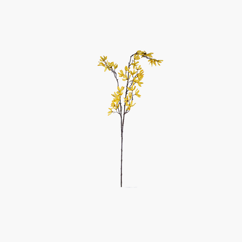 Kış Yasemini Dal Koyu Sarı 110cm