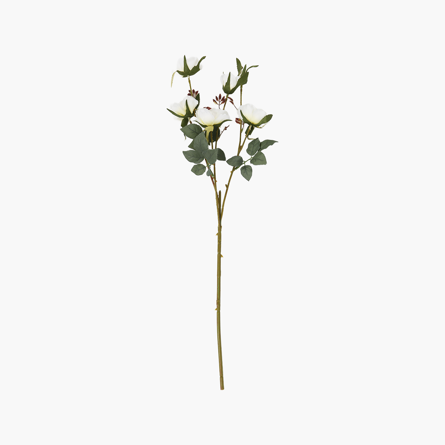 6 Başlı Gül Dal Beyaz 65cm
