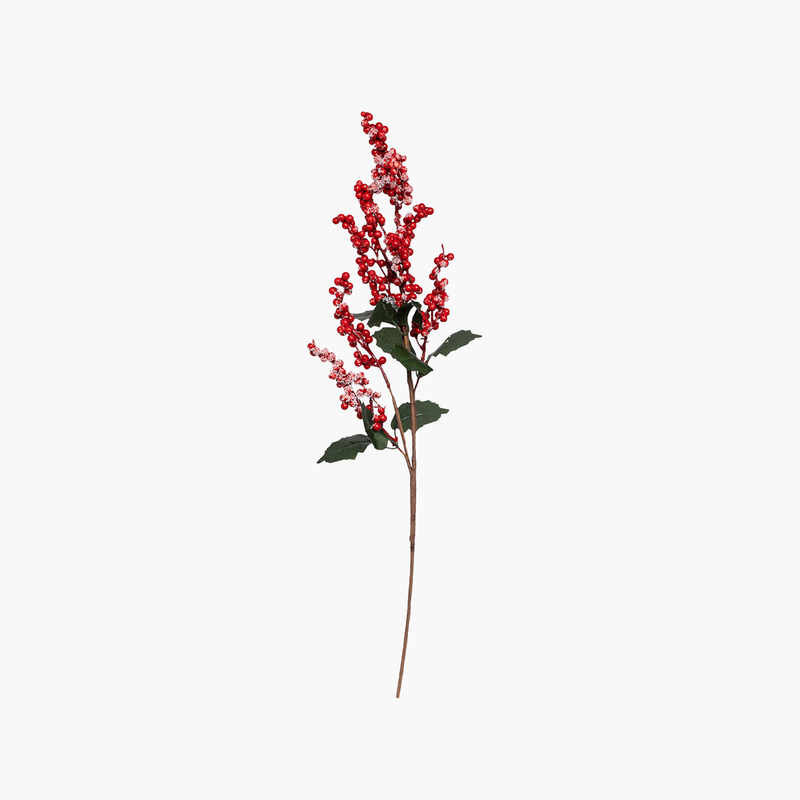 JC Kokina Dal 75cm