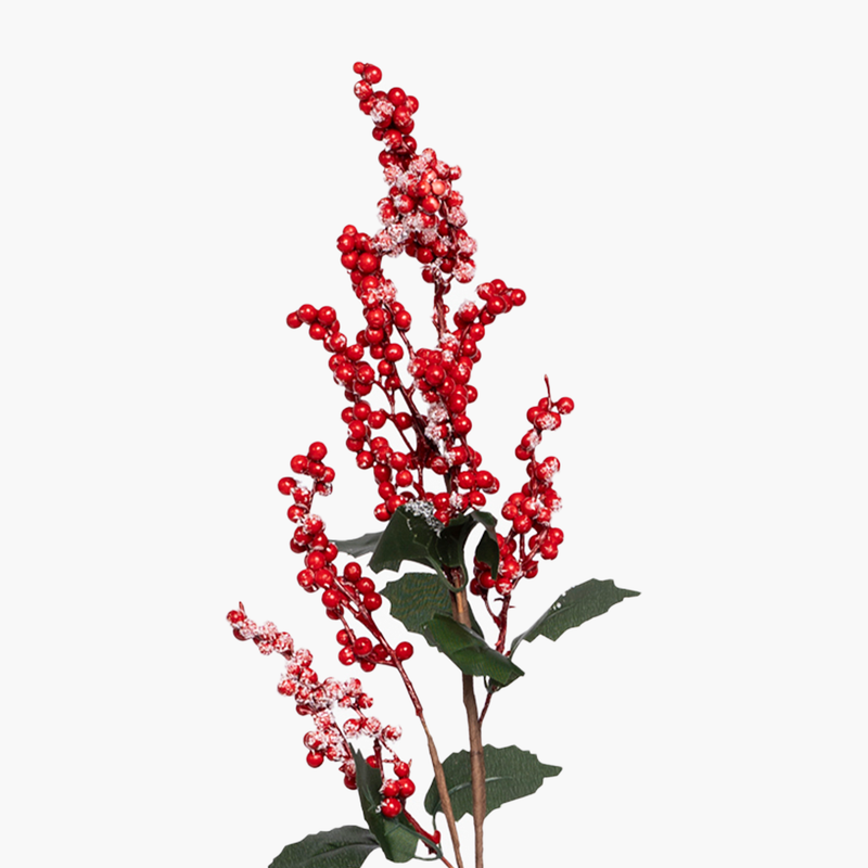 JC Kokina Dal 75cm